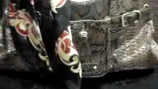 Snake Skin Purse,Purse Video,Chicago,Plainfield,Joliet,Shorewood,Chicago Purse,IL