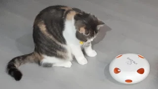 Inkzoo Whack a mole feather automatic cat toy aliexpress PERKEO interactive smart random