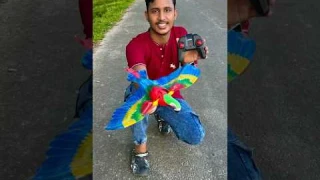 Electric Flying Bird Toy with Hanging Wire Automatic for Ceiling Parrot Pet Supplies | Ruhul Shorts