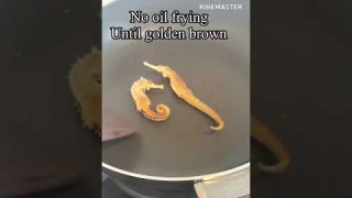 Seahorse frying part 2 #satisfyingvideo #trending