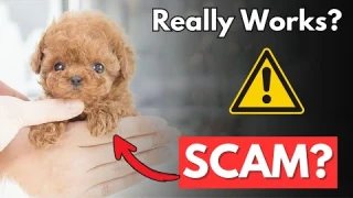 Wuffy Robot Dog Reviews - Legit or SCAM?