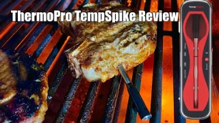 ThermoPro TempSpike Review