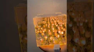 #trending #diy #unboxing Tulip Lamp DIY | I purchased this tulip lamp from Meesho #asmrsounds #yt