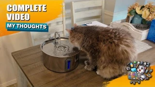 Stainless Steel Cat Water Fountain Review – Is It Worth It?