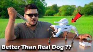 I Tested Viral 2-in-1 Programmable RC Robot Dog !! It Went Unexpected 😱😱