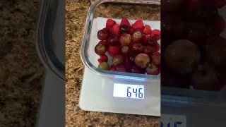 Tracking Nutrition Made Effortless | RENPHO Calibra 1 Smart Nutrition Scale