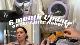 Litter Robot 4 Review: 6 Months Later – Is It Worth It?