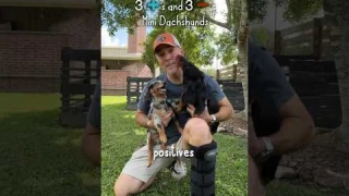 🦴 Positive & Negatives Of Mini Dachshunds