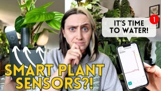 Game Changing Houseplant Tech 📱🪴  Do Smart Plant Sensors Really Work?
