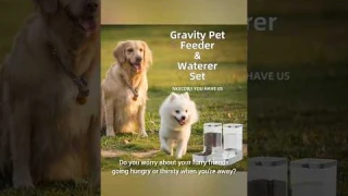 Basic Gravity Pet Food Feeder &Water  Dispenser #Review#2-in-1 automatic pet feeder#smart pet feeder