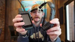 Tracking, Training, or Both? - Find the Right Garmin Collar for You