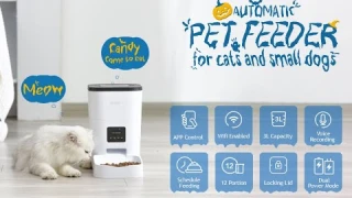 Dokoo Automatic Pet Feeder