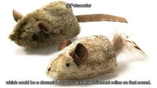 OurPet's Play-N-Squeak Twice the Mice Cat Toy Review: Is It Worth the Hype for Your Cat?