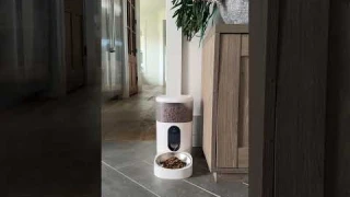 Automatic dog feeder #aqara #amazonfinds #petfoodmachine