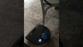 Neato Botvac D80: A Deep Dive Review for Pet Owners