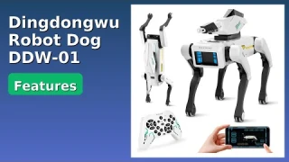 REVIEW (2025): Dingdongwu Robot Dog DDW-01. ESSENTIAL details.
