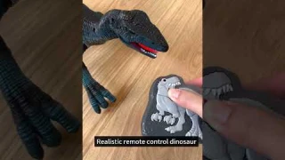 Remote Control Dinosaur toy| So Good!
