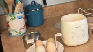 Rapid Egg Cooker, 6 in 1 Egg Cooker for Hard Boiled Eggs, Egg Custard, Electric Egg Boiler Review