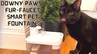 DOWNYPAWS FUR-FAUCET Smart Pet Water Fountain review