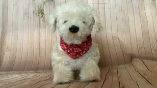 MGA Georgie - Interactive Plush Electronic Puppy Robotic Dog Unboxing, Demonstration & Review