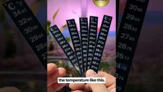 No Plugs, No Batteries, Just Stick It On: The Thermometer Revolution