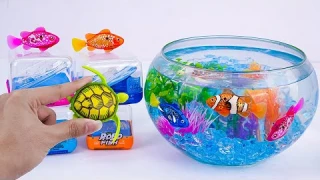 [🐠toy asmr🐠] ZURU Robo Alive Robo Turtle Swimming ASMR ⭐ Satisfying with Unboxing 🔇 No talking 🔇