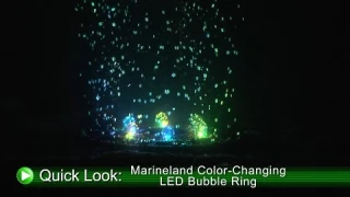 Marineland Color-Changing LED Bubble Ring (DrsFosterSmith)