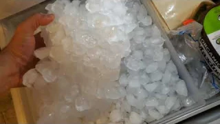 800 series Bosch refrigerator B36CL80ESN 36" - 1 yr review