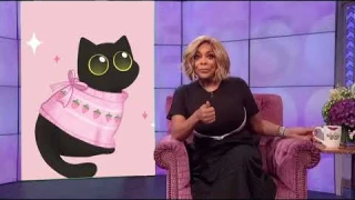 MY CAT IN A VIDEOGAME?! | Veikk S640 Tablet Review | Chloe Colors