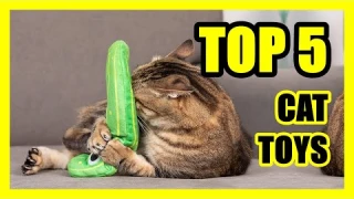 TOP 5: Best Cat Toy for Active Cats 2022 | Interactive Toys