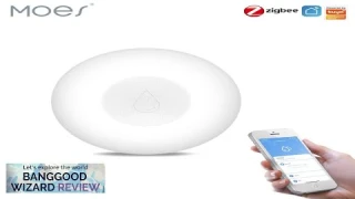 Tuya Smart Water Leakage Detector Flood Sensor Water Tank Full Alert Overflow Review