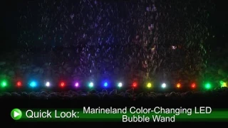 Color-Changing LED Bubble Wand Adds Drama (DrsFosterSmith)