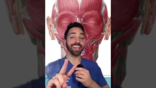 Does nuface work? @jamescharles #dermdoctor #dermatologist #skincare #microcurrent #nuface #foreobe