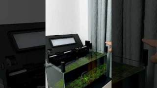 Xiaomi fish tank heightening bracket #trending #fishaquarium #fishtank #fish #fishvideo #aquarius