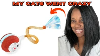 Amazon Review: Jkanti 3rd Generation Agile Moving Cat Ball with Elastic Mesh Tail