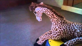 Robocleaner Kärcher RC 3000 - Giraffe Test