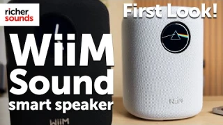 FIRST LOOK | WiiM Sound Smart Speaker | Richer Sounds