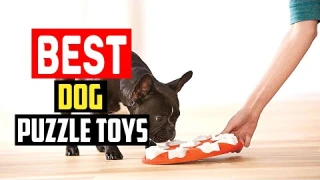 ✅Top 5 Best Dog Puzzle Toys in 2025