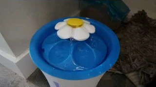 Catit LED Flower Fountain with Triple Action Filter, Cat Drinking Water Fountain Review