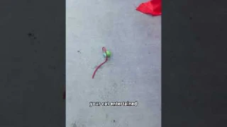 Interactive Rechargeable Pet Toy Dog Self-Rolling Ball - Automatic Rotating Motion with Fast Rolling