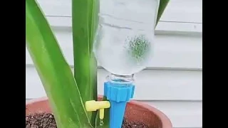 12PCS Auto Plant Self Watering Device Slow Release Watering System Automatic Device Bottle Watering