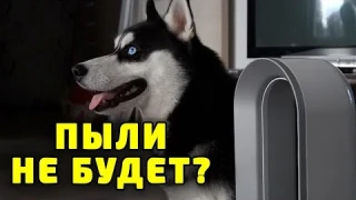 С ним в доме ЧИСТО Очиститель воздуха Dyson Pure Hot+Cool обогреватель вентилятор обзор