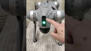 Robot Dog! Unitree Go2 review #shorts #robot #dog