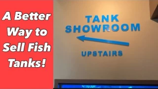 Aquarium Showroom [Would You Buy a Tank Here?] - Seahorse Aquarium, Ireland - Episode #3