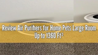 Review Air Purifiers for Home Pets Large Room Up to 1360 Ft², Tailulu D10 HEPA Air Purifiers for Bed
