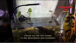 Review UPETTOOLS Aquarium Light with Adapter LED Clip on Fish Tank Light Small Full Spectrum USB Lig