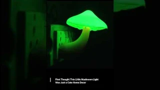 #1 LED Mushroom Night Light Lamp with Dusk to Dawn Sensor,Plug in LED Bed Cute Mushroom Nightligh