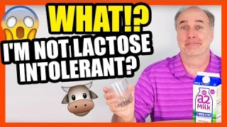 a2 Milk Review- Am I Really Lactose Intolerant?