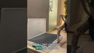 Have You Heard of the Weasy Smart Potty?