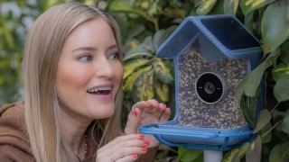 Smart Bird Feeder - The Birdbuddy 2 Review! 🐦‍⬛📷